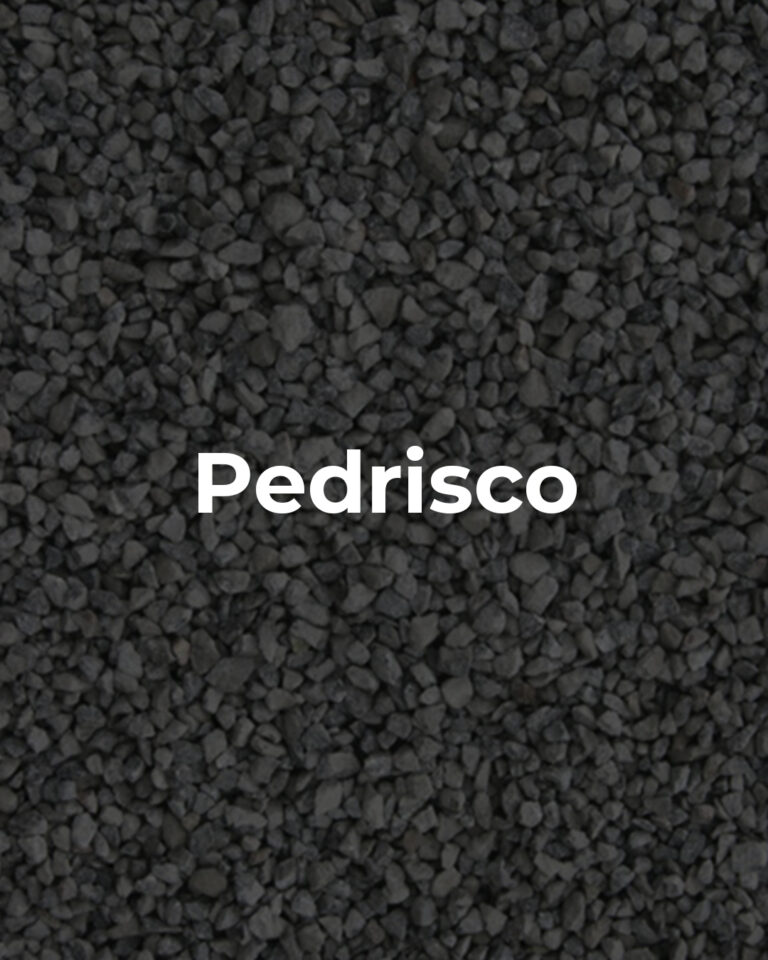 Pedrisco